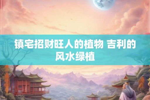 镇宅招财旺人的植物 吉利的风水绿植