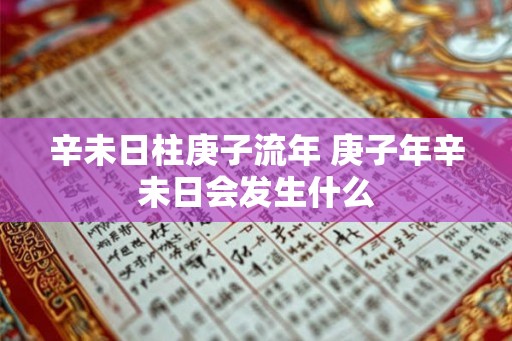 辛未日柱庚子流年 庚子年辛未日会发生什么