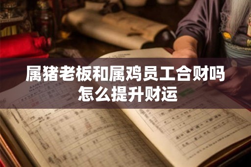 属猪老板和属鸡员工合财吗 怎么提升财运