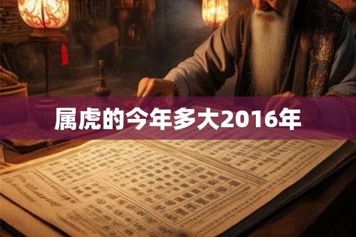 属虎的今年多大2016年