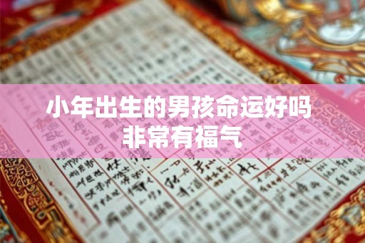 小年出生的男孩命运好吗 非常有福气 小年出生的男孩命运好吗 非常有福气
