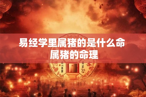 易经学里属猪的是什么命 属猪的命理 易经学里属猪的是什么命 属猪的命理