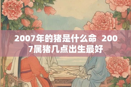 2007年的猪是什么命  2007属猪几点出生最好