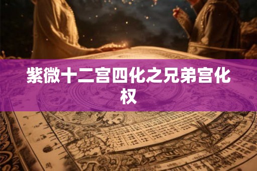 紫微十二宫四化之兄弟宫化权