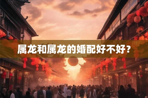 属龙和属龙的婚配好不好？
