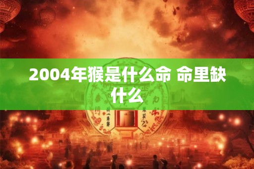 2004年猴是什么命 命里缺什么
