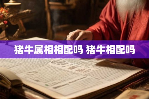 猪牛属相相配吗 猪牛相配吗