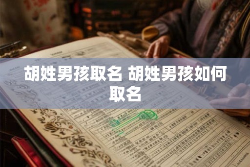 胡姓男孩取名 胡姓男孩如何取名
