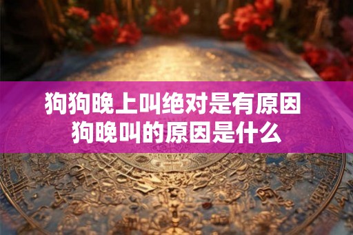 狗狗晚上叫绝对是有原因 狗晚叫的原因是什么