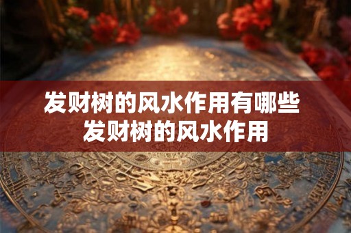 发财树的风水作用有哪些 发财树的风水作用