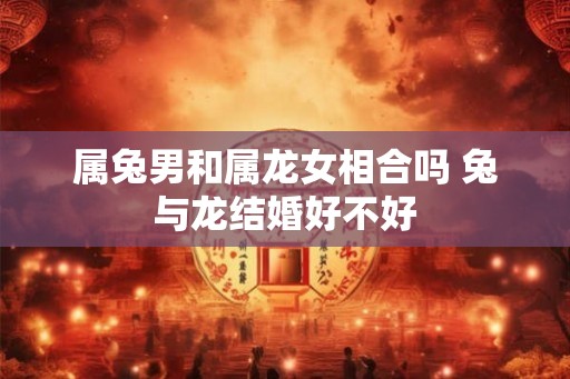 属兔男和属龙女相合吗 兔与龙结婚好不好 属兔男和属龙女相合吗 兔与龙结婚好不好