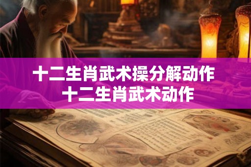 十二生肖武术操分解动作  十二生肖武术动作