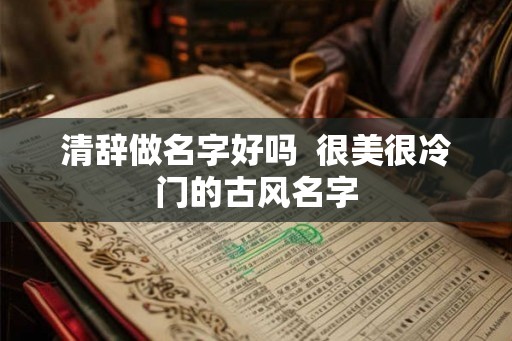 清辞做名字好吗  很美很冷门的古风名字