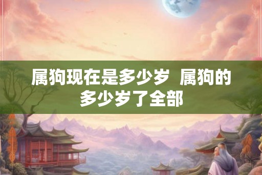 属狗现在是多少岁 属狗的多少岁了全部 属狗现在是多少岁 属狗的多少岁了全部