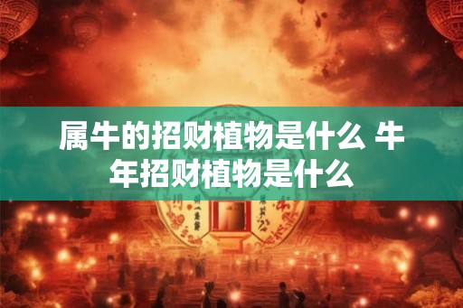属牛的招财植物是什么 牛年招财植物是什么