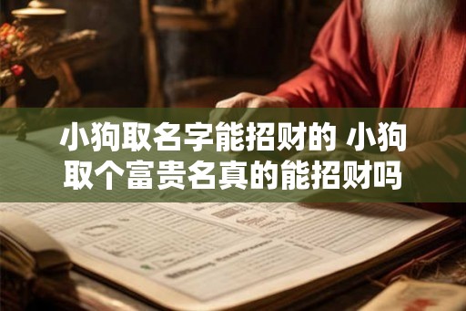 小狗取名字能招财的 小狗取个富贵名真的能招财吗