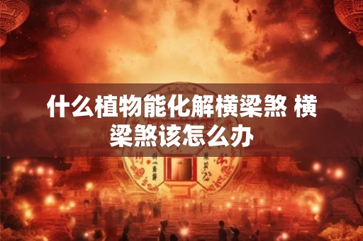 什么植物能化解横梁煞 横梁煞该怎么办