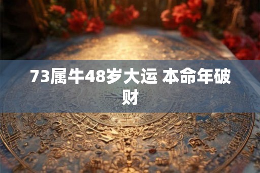 73属牛48岁大运 本命年破财