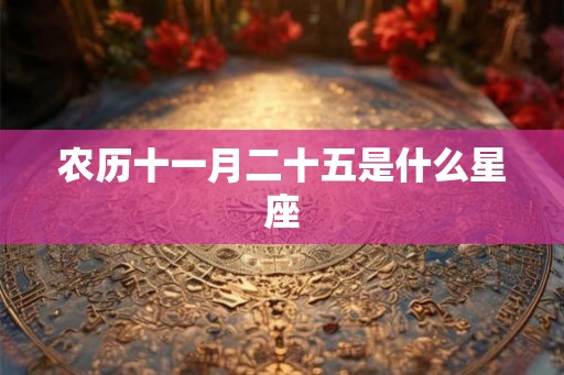 农历十一月二十五是什么星座