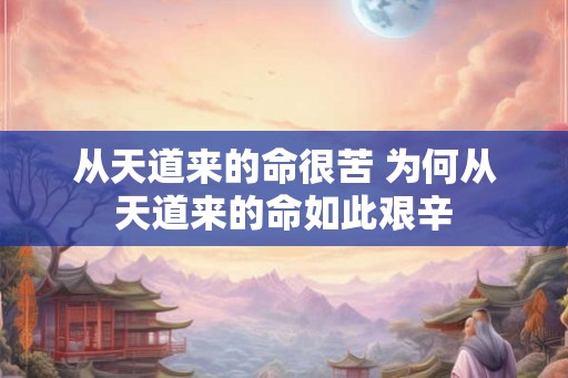 从天道来的命很苦 为何从天道来的命如此艰辛