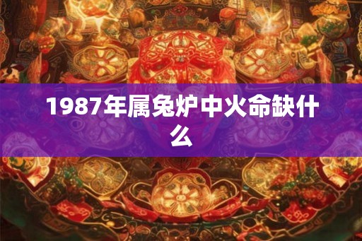 1987年属兔炉中火命缺什么