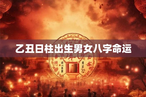 乙丑日柱出生男女八字命运