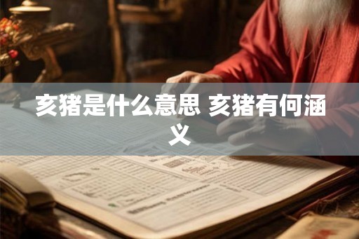 亥猪是什么意思 亥猪有何涵义