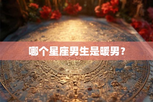 哪个星座男生是暖男？