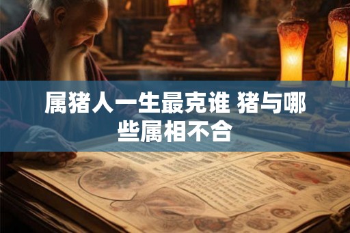 属猪人一生最克谁 猪与哪些属相不合