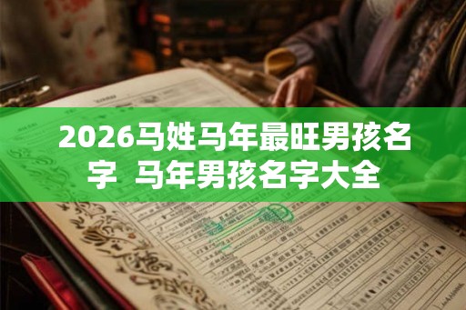 2026马姓马年最旺男孩名字  马年男孩名字大全