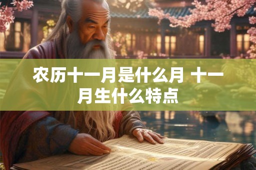 农历十一月是什么月 十一月生什么特点 农历十一月是什么月 十一月生什么特点