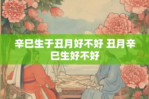 辛巳生于丑月好不好 丑月辛巳生好不好