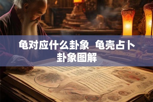 龟对应什么卦象  龟壳占卜卦象图解