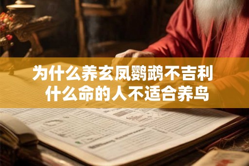 为什么养玄凤鹦鹉不吉利  什么命的人不适合养鸟