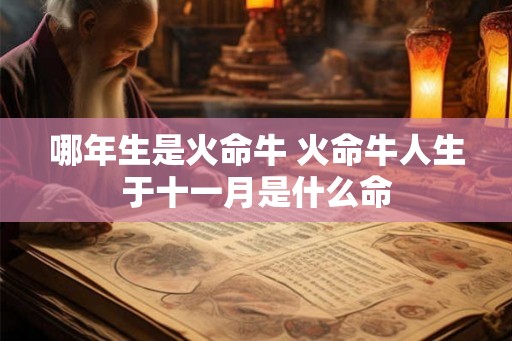 哪年生是火命牛 火命牛人生于十一月是什么命