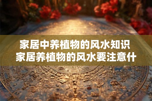 家居中养植物的风水知识 家居养植物的风水要注意什么 家居中养植物的风水知识 家居养植物的风水要注意什么