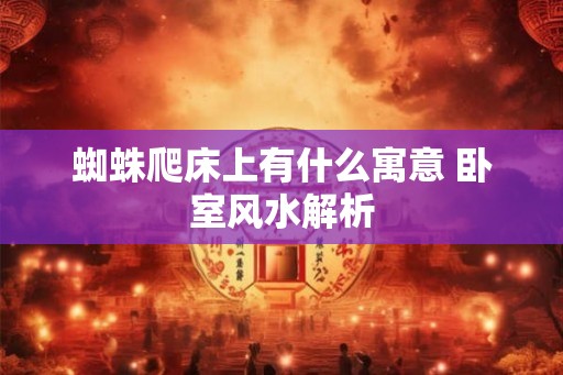 蜘蛛爬床上有什么寓意 卧室风水解析
