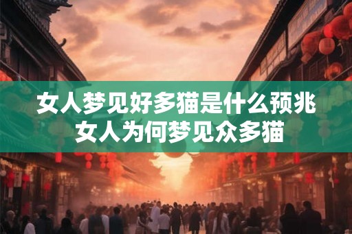 女人梦见好多猫是什么预兆 女人为何梦见众多猫