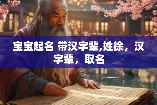 宝宝起名 带汉字辈,姓徐，汉字辈，取名