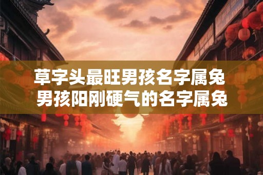草字头最旺男孩名字属兔 男孩阳刚硬气的名字属兔 草字头最旺男孩名字属兔 男孩阳刚硬气的名字属兔