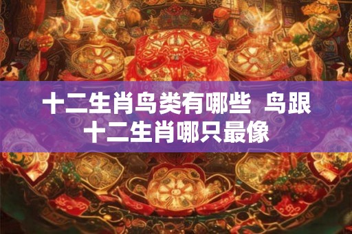 十二生肖鸟类有哪些  鸟跟十二生肖哪只最像