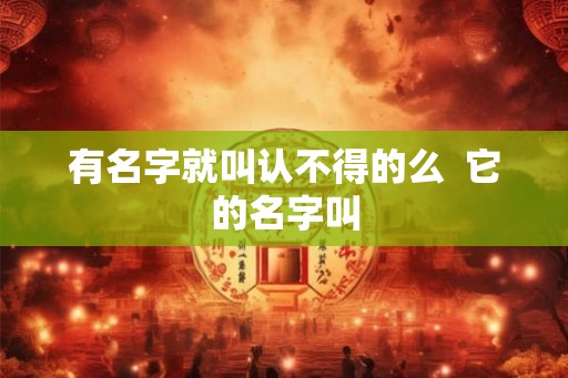 有名字就叫认不得的么  它的名字叫