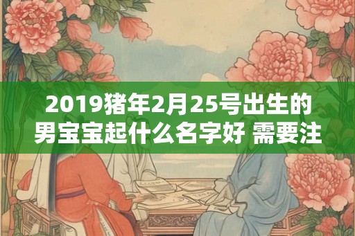 2019猪年2月25号出生的男宝宝起什么名字好 需要注意什么
