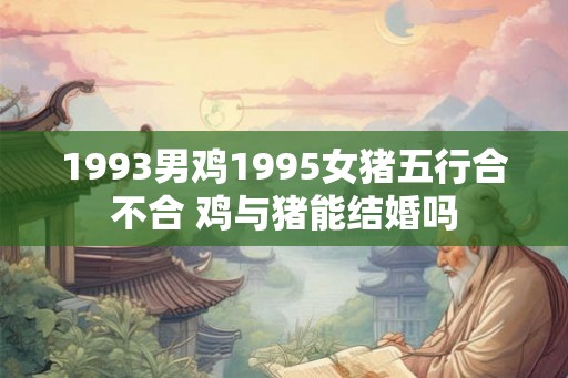 1993男鸡1995女猪五行合不合 鸡与猪能结婚吗