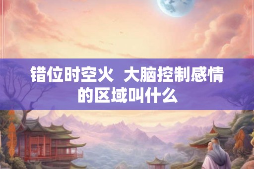错位时空火  大脑控制感情的区域叫什么