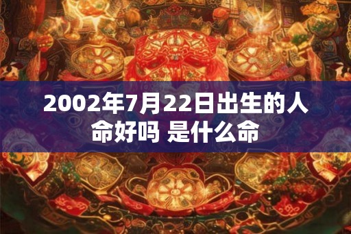 2002年7月22日出生的人命好吗 是什么命