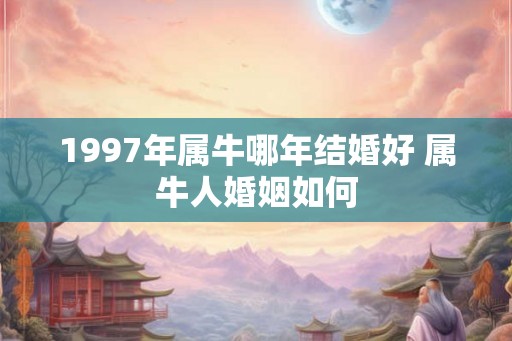 1997年属牛哪年结婚好 属牛人婚姻如何