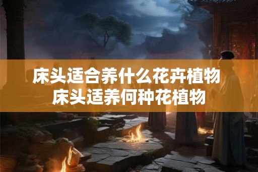 床头适合养什么花卉植物 床头适养何种花植物