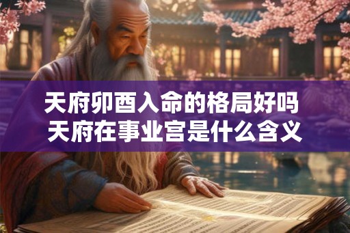天府卯酉入命的格局好吗 天府在事业宫是什么含义