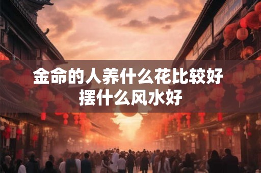 金命的人养什么花比较好 摆什么风水好